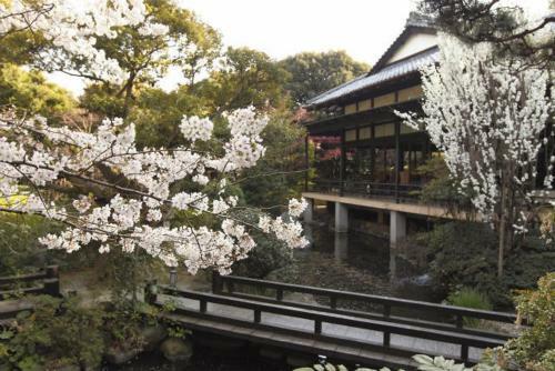 Jinya