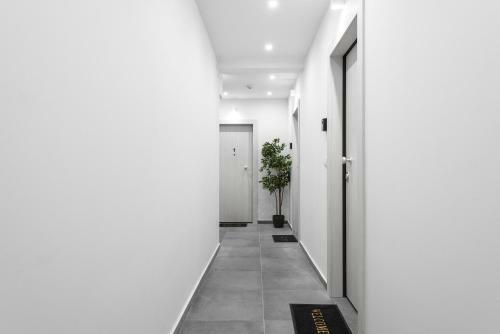 Upper Floor Central Apartment, The Luxury Suites