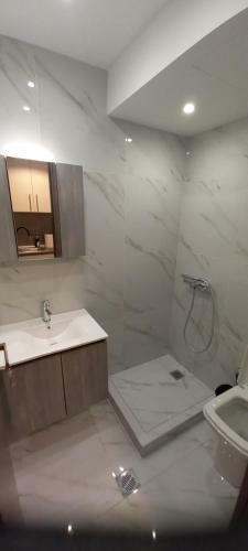 Perfect Apartment -agias 71b