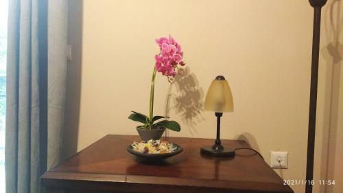 Miriam Luxury Apartment