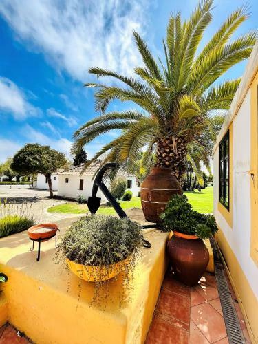 Beach House Pedras D'el Rei