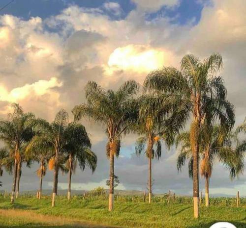 Casa Canastra Maria Costa +ou- 8km Do Gl�ria/ Mg