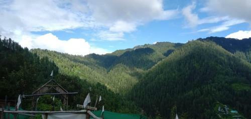 Himalaya Yew Homestay