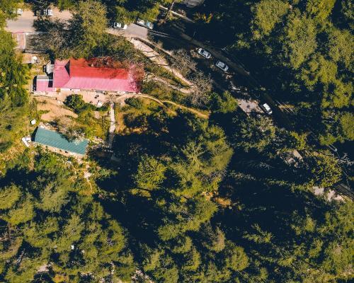 Hotel Seclude Shimla, Taraview