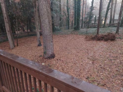 Your Stone Mountain Retreat