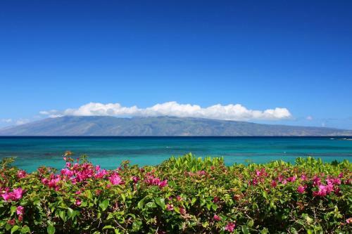 Kahana Manor 316