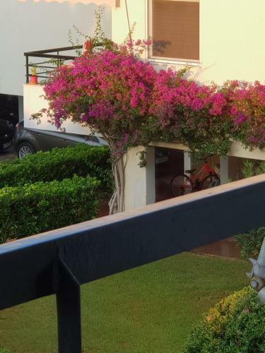 Apartamento Beachfront/lagonisi/sounio