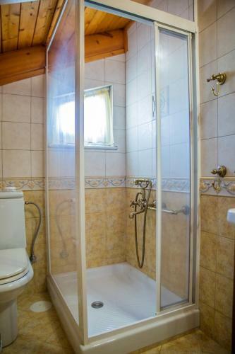 Lagonisi Villa Vip