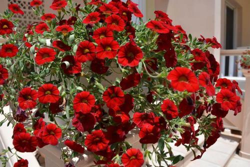 Apartamento House In Chania
