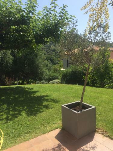 Apartamento Lux Villa Nature Resort