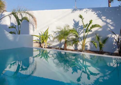 Dafnes Villa 1 Private Pool