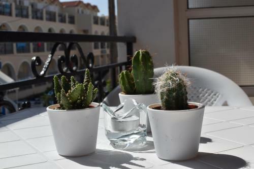 Apartamento Ephelia Gold