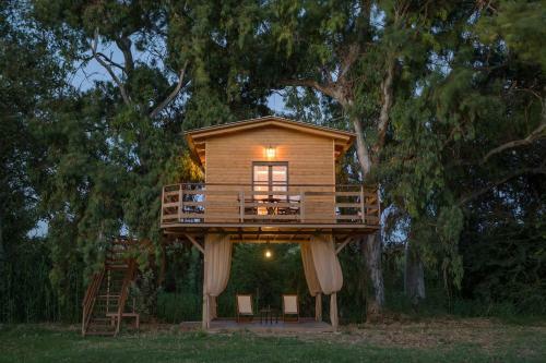 River Treehouse