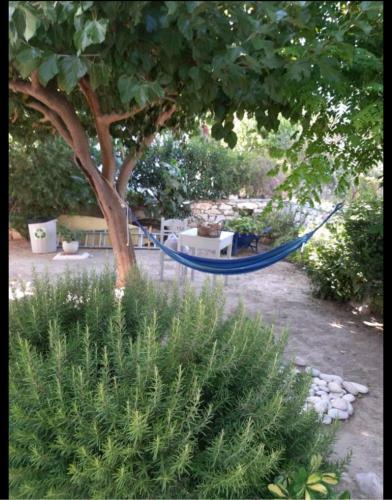 Apartamento Sundeck
