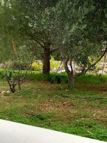 Irenes 2floor Maisonette