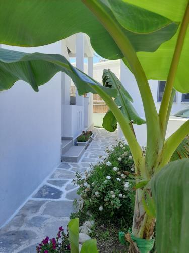 Apartamento Bright Town House.