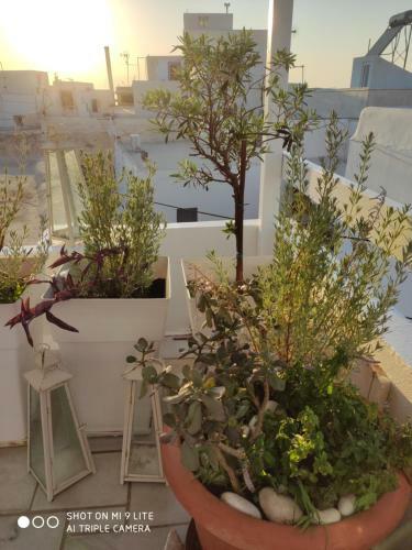 White Cycladic Town House With Sea Vew