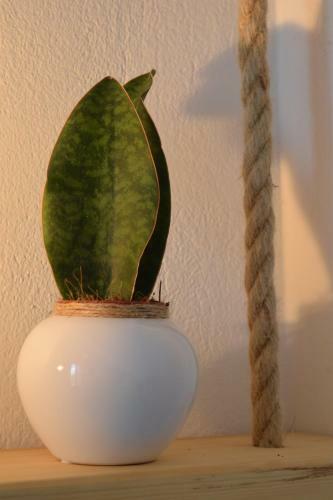 Apartamento Eight Senses