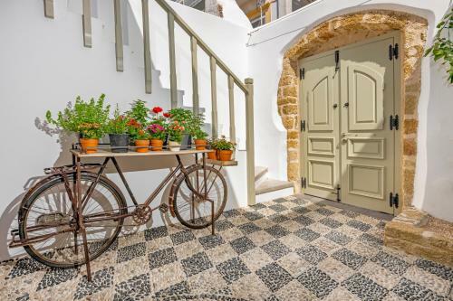 Apartamento Amarada City Suites
