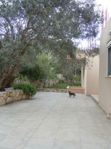 Majia 2 Bedroom Apartment