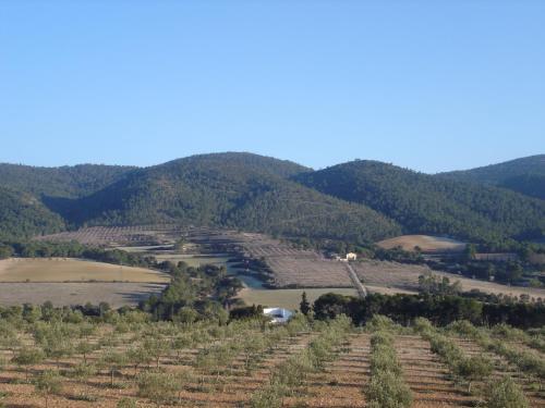 Casa Rural Mas�a Barbera