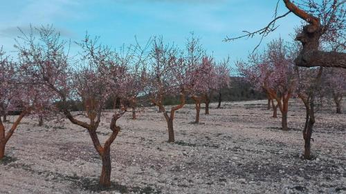 Casa Rural Mas�a Barbera