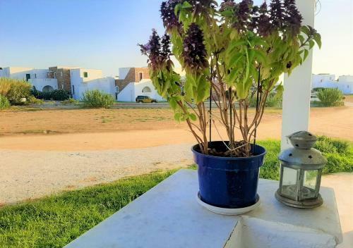 Apartamento Island Rooms & Studios