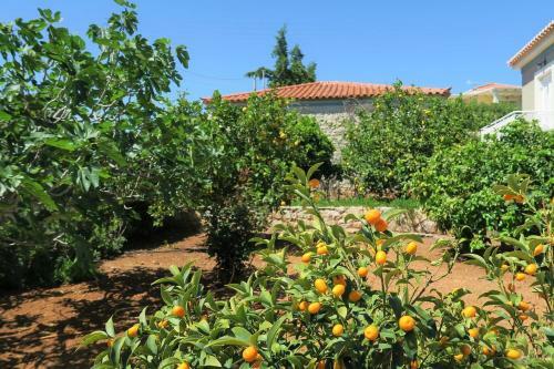 Aeolos Apartment A Family Paradise Few Steps From The Beach