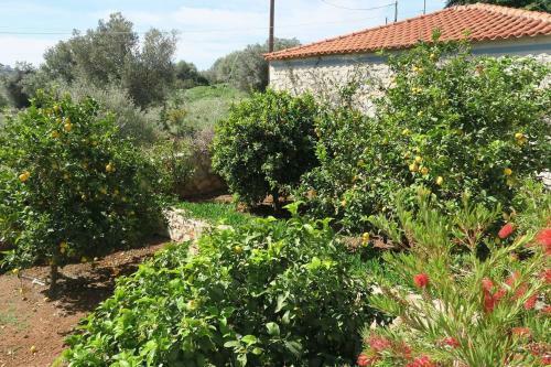 Aeolos Apartment A Family Paradise Few Steps From The Beach