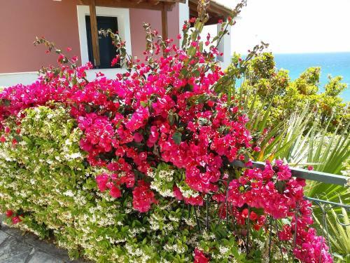 Glyfada Beach Two Floors Apartment 2-3 People