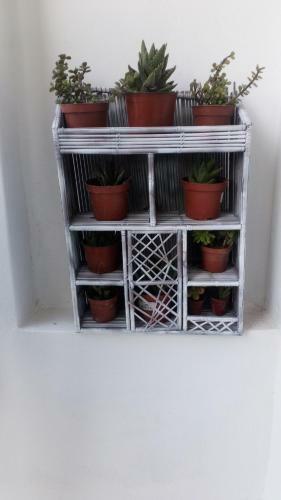 Marilia's Apartment