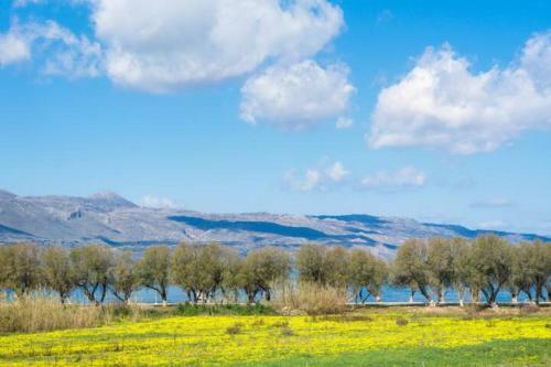 Beauty Villa Irene, Coast 60m
