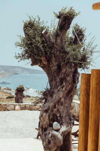 Apartamento M-vibes Luxury Suites Mykonos