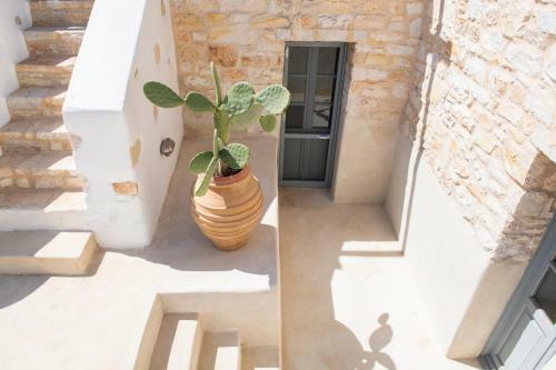 Villa Soleil Santa Maria