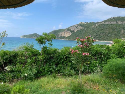 Hamre Apartments (nicholas)
