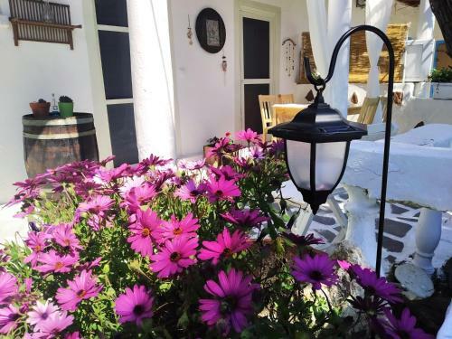 Abelaki Holiday Home