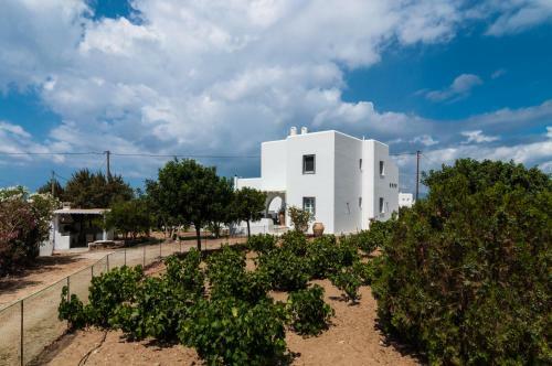 Salty Houses Naxos