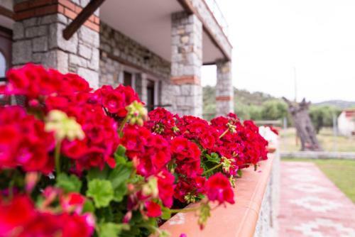 Apartamento Villa Theano