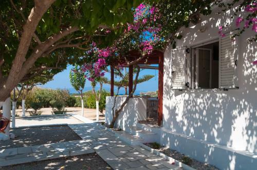 Felicia's Sun-side House