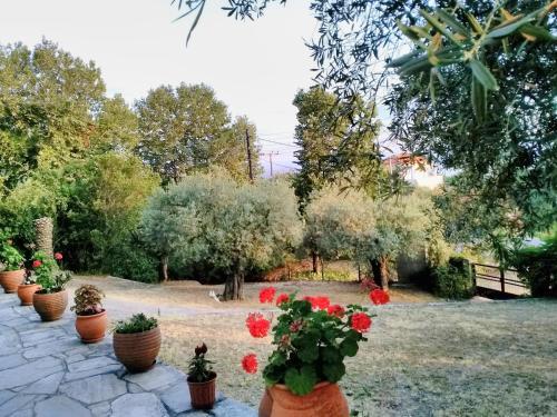 Apartamento Blue Forest