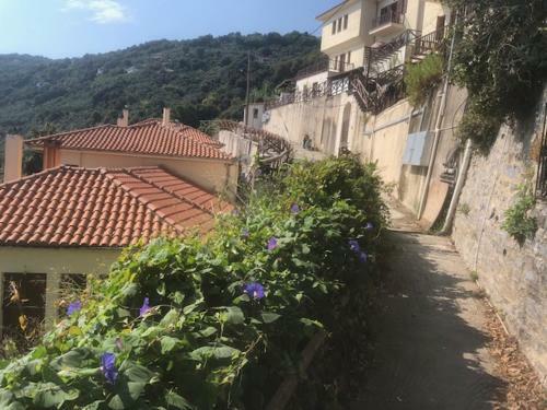 All About View Agios Ioannis Papa Nero