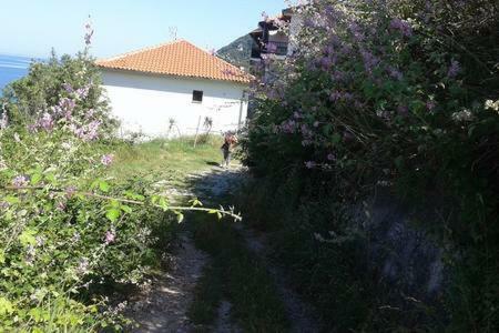 All About View Agios Ioannis Papa Nero