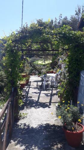 All About View Agios Ioannis Papa Nero