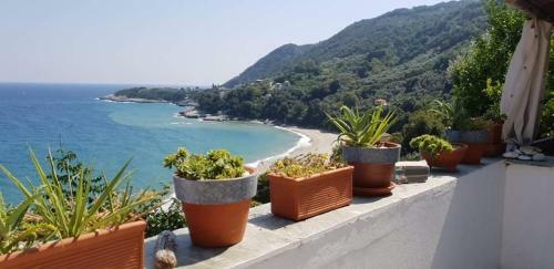 All About View Agios Ioannis Papa Nero