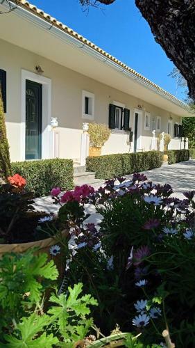 Dionysia Apartments