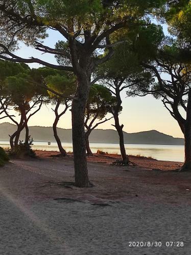 Apartamento Seaside Jacaranda