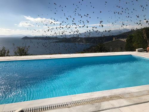 Villa Anemolia Luxurious Maisonette