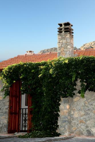 Emilio's House