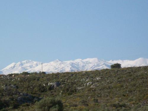 Comfortable House Near Chania