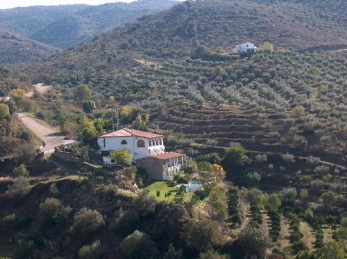 Hotel Posada Real Quinta De La Concepci�n